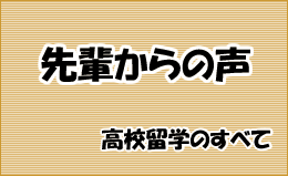 先輩からの声